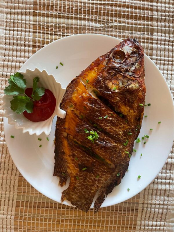 Fish
